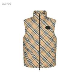 Picture of Burberry Down Jackets _SKUBurberryS-2XL26yr11937988